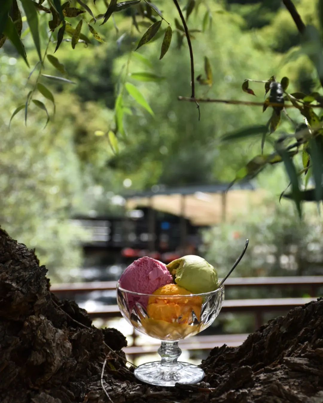 Creamy cup dessert with wild forest berries
